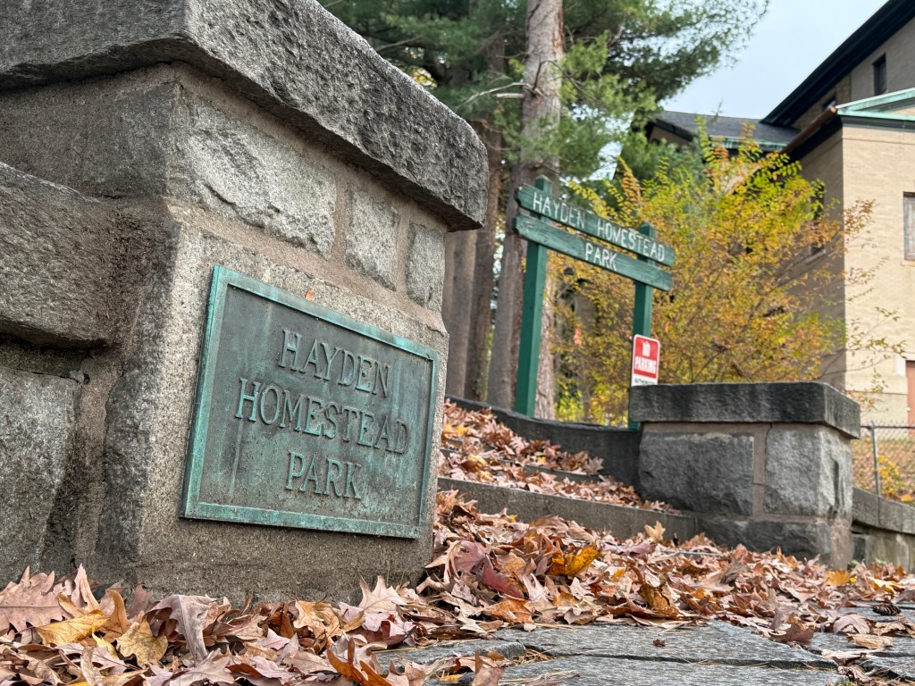 Cleanup and restoration on the way at Waterbury Hayden Park”