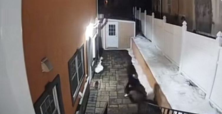 New Footage Released in Waterbury Clairmont Ave Officer Shooting — Here’s What Happened