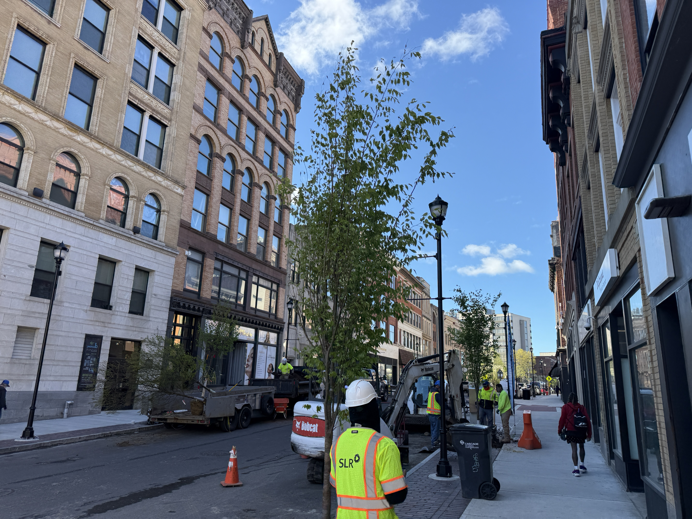 The 20-Degree Divide on American Streets; More Shade for Waterbury